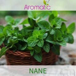 Aromatic Nane Aroması 100ml