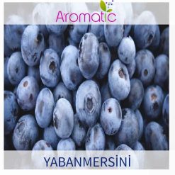 Aromatic Yabanmersini Aroması 100ml