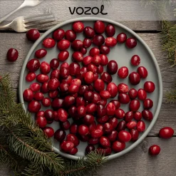 Vozol Cedar Berries Aroma Diy Kit