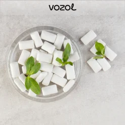 Vozol Clear Aroma Diy Kit
