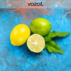 Vozol Lemon Mint Aroma Diy Kit