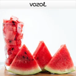 Vozol Lush ice Aroma Diy Kit
